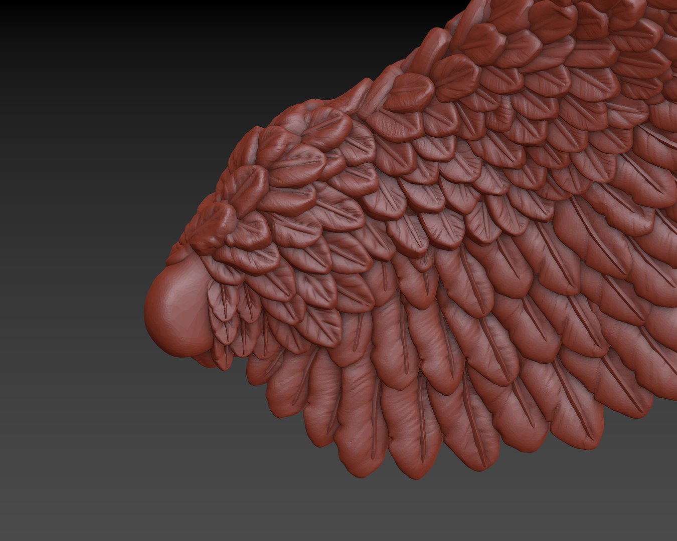 3D wings printing https://p.turbosquid.com/ts-thumb/9u/uEERlp/Wb2oLOHh/592/jpg/1491994879/1920x1080/fit_q87/2238dd3b9e9cd0f9b4906e308fd3129bc03921c3/592.jpg