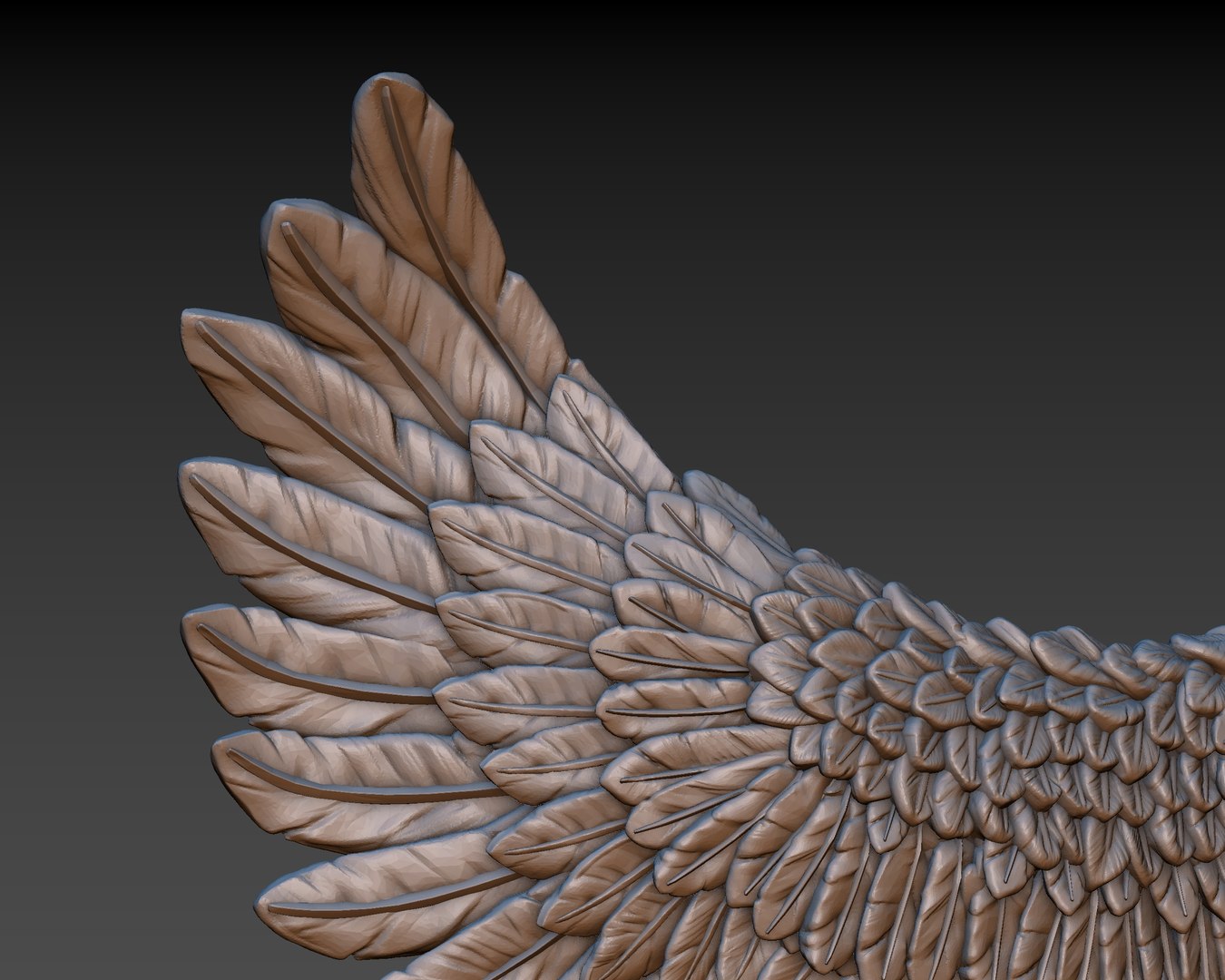 3D wings printing https://p.turbosquid.com/ts-thumb/9u/uEERlp/Z5rfYkhU/52/jpg/1491994878/1920x1080/fit_q87/ce725fe276cdaf6cad2fa340212ffaefc9490c90/52.jpg