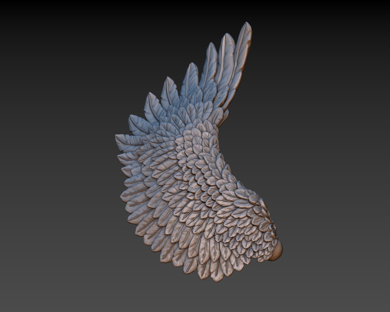 3D wings printing https://p.turbosquid.com/ts-thumb/9u/uEERlp/lgidT572/3/jpg/1491994878/1920x1080/fit_q87/9728e2fb5e02a2eb7c8c17e07f40228d46a243f7/3.jpg