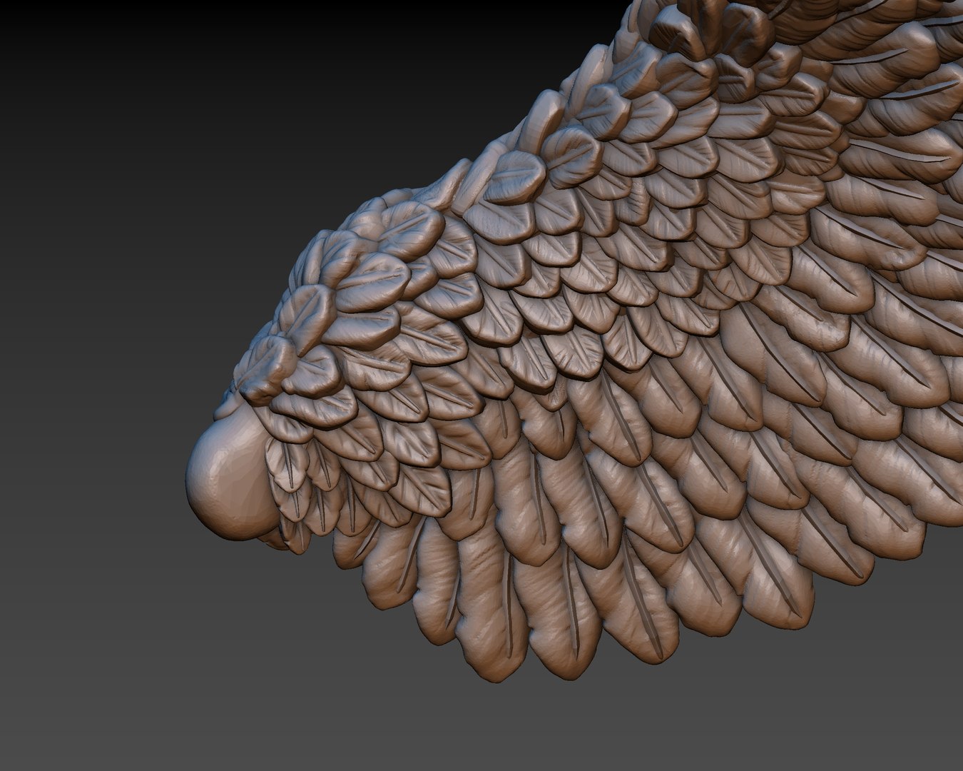 3D wings printing https://p.turbosquid.com/ts-thumb/9u/uEERlp/sIeg4ozt/54/jpg/1491994878/1920x1080/fit_q87/e527cab2f7c86389196911f58b7f39612e9810ef/54.jpg