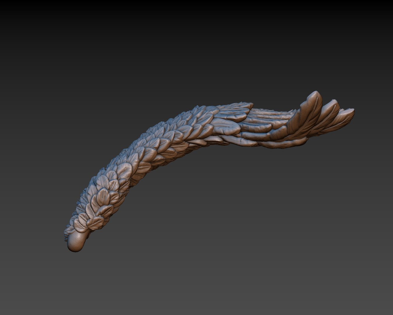 3D wings printing https://p.turbosquid.com/ts-thumb/9u/uEERlp/sSVvXhgZ/5/jpg/1491994878/1920x1080/fit_q87/a4d86553623941c41d21a49563f591acd2c556d5/5.jpg