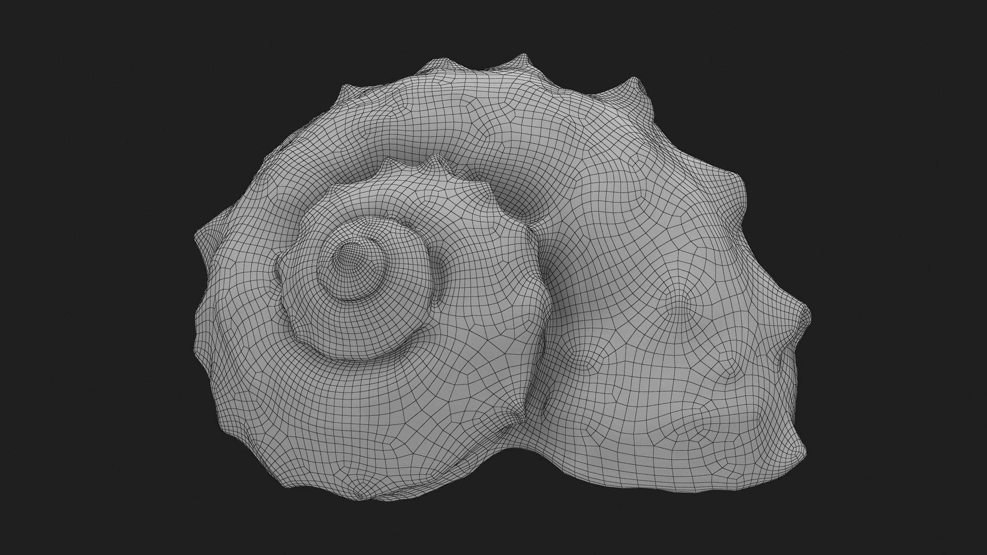 Rapana Rapiformis 3D model https://p.turbosquid.com/ts-thumb/9v/1GyafQ/FN/rapanarapiformis1_g0003/jpg/1718345462/1920x1080/fit_q87/e0a4d949d2f443818e5c4e461039c296c045feab/rapanarapiformis1_g0003.jpg