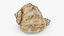 Seashells Collection 3
