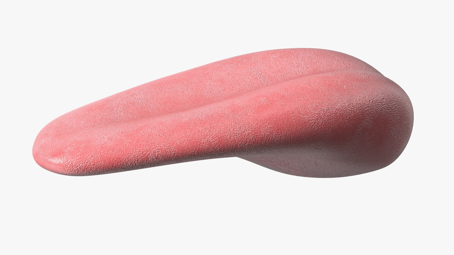 Human Tongue Rigged for Cinema 4D 3D model preview