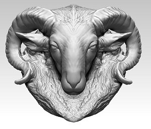 Ram head