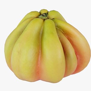 Quince Remastered model