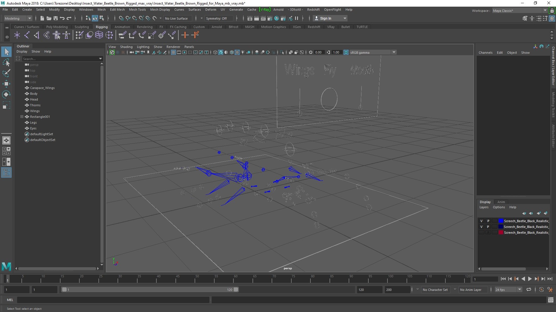 Insect Water Beetle Brown Rigged for Maya 3D model https://p.turbosquid.com/ts-thumb/9v/Q07qhY/7M/insect_water_beetle_brown_rigged_for_maya_004/jpg/1732810289/1920x1080/fit_q87/24a45bc23a677ad3c34ae039899e068d146bd1a5/insect_water_beetle_brown_rigged_for_maya_004.jpg
