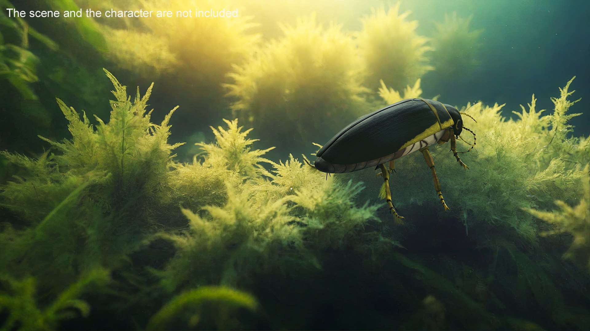 Insect Water Beetle Brown Rigged for Maya 3D model https://p.turbosquid.com/ts-thumb/9v/Q07qhY/8c/insect_water_beetle_brown_rigged_005/jpg/1732810015/1920x1080/fit_q87/4b2e0f9d925212f944d20d0e8092059cda026772/insect_water_beetle_brown_rigged_005.jpg