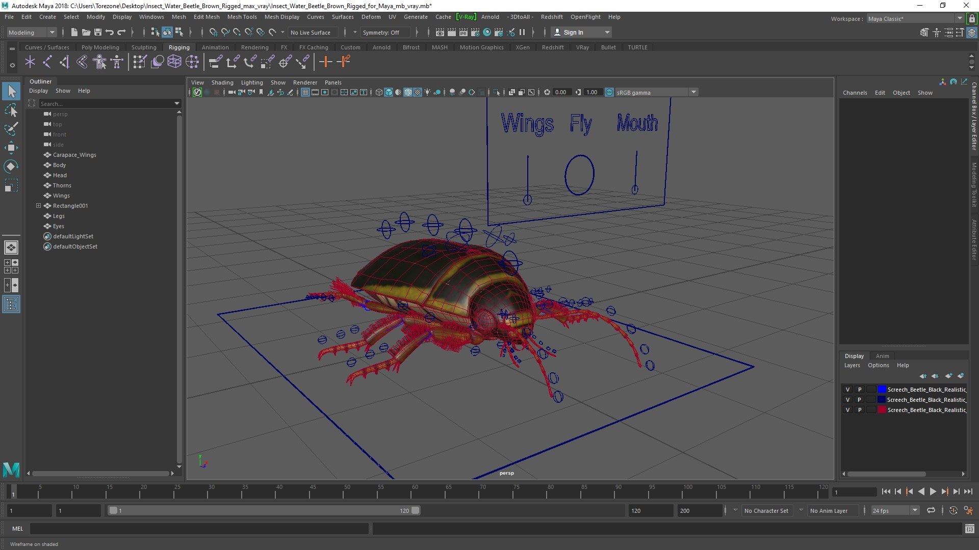 Insect Water Beetle Brown Rigged for Maya 3D model https://p.turbosquid.com/ts-thumb/9v/Q07qhY/Oo/insect_water_beetle_brown_rigged_for_maya_005/jpg/1732810297/1920x1080/fit_q87/691b506489685fa812bd1ce986d222a39ef90fbd/insect_water_beetle_brown_rigged_for_maya_005.jpg