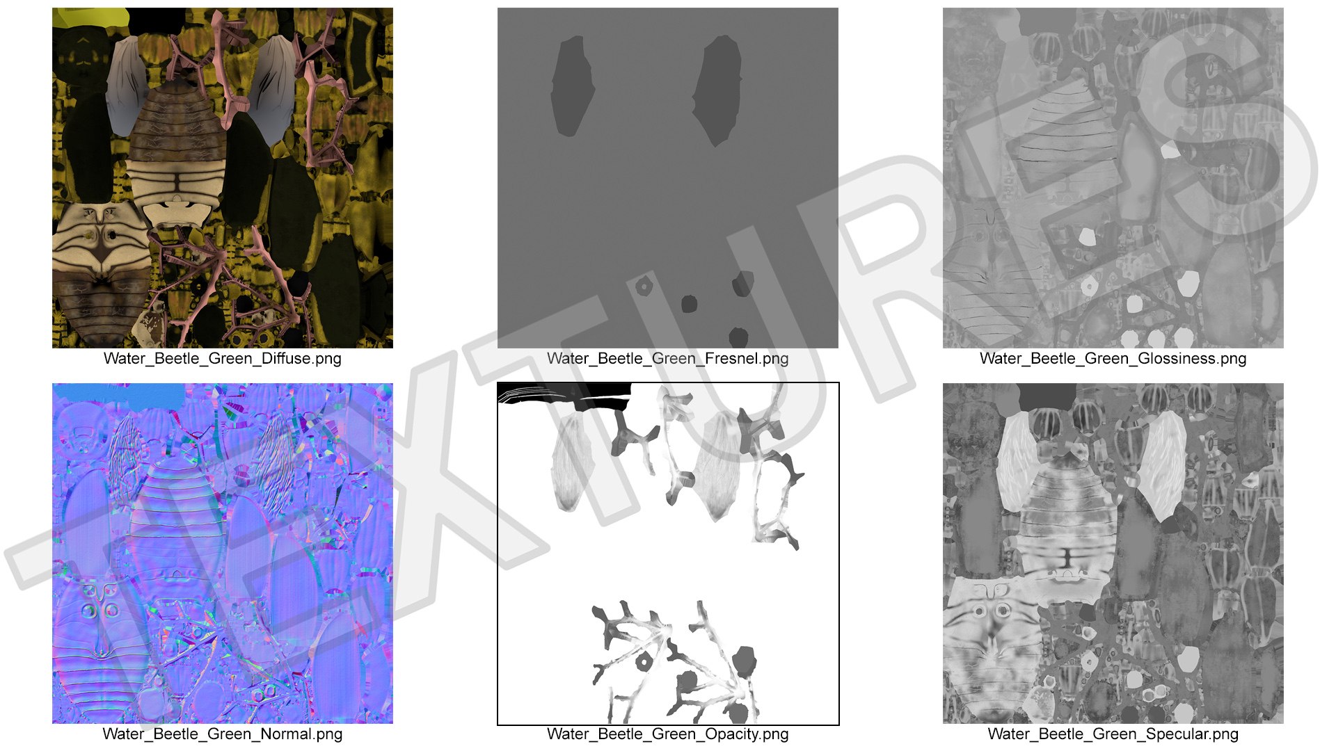Insect Water Beetle Brown Rigged for Maya 3D model https://p.turbosquid.com/ts-thumb/9v/Q07qhY/gg/insect_water_beetle_brown_rigged_028/jpg/1732810176/1920x1080/fit_q87/d029c1c7c85fb7410ccfd60a2f04274864373039/insect_water_beetle_brown_rigged_028.jpg