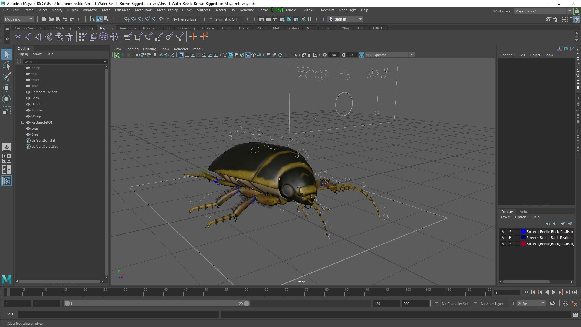 Insect Water Beetle Brown Rigged for Maya 3D model https://p.turbosquid.com/ts-thumb/9v/Q07qhY/h2/insect_water_beetle_brown_rigged_for_maya_003/jpg/1732810284/1920x1080/fit_q87/5f7452745c08f800a123f03bbfa77fd47ebe5b71/insect_water_beetle_brown_rigged_for_maya_003.jpg