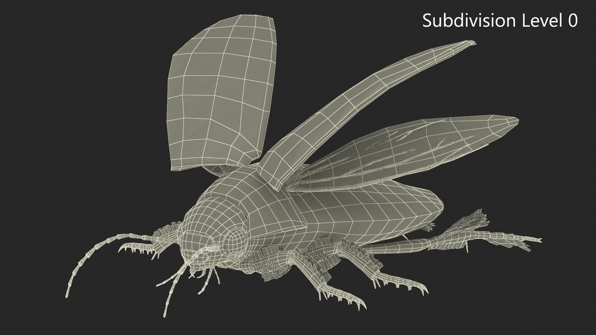 Insect Water Beetle Brown Rigged for Maya 3D model https://p.turbosquid.com/ts-thumb/9v/Q07qhY/hb/insect_water_beetle_brown_rigged_025/jpg/1732810153/1920x1080/fit_q87/74cc068f019167feffe461a326bc53c80453a3a2/insect_water_beetle_brown_rigged_025.jpg
