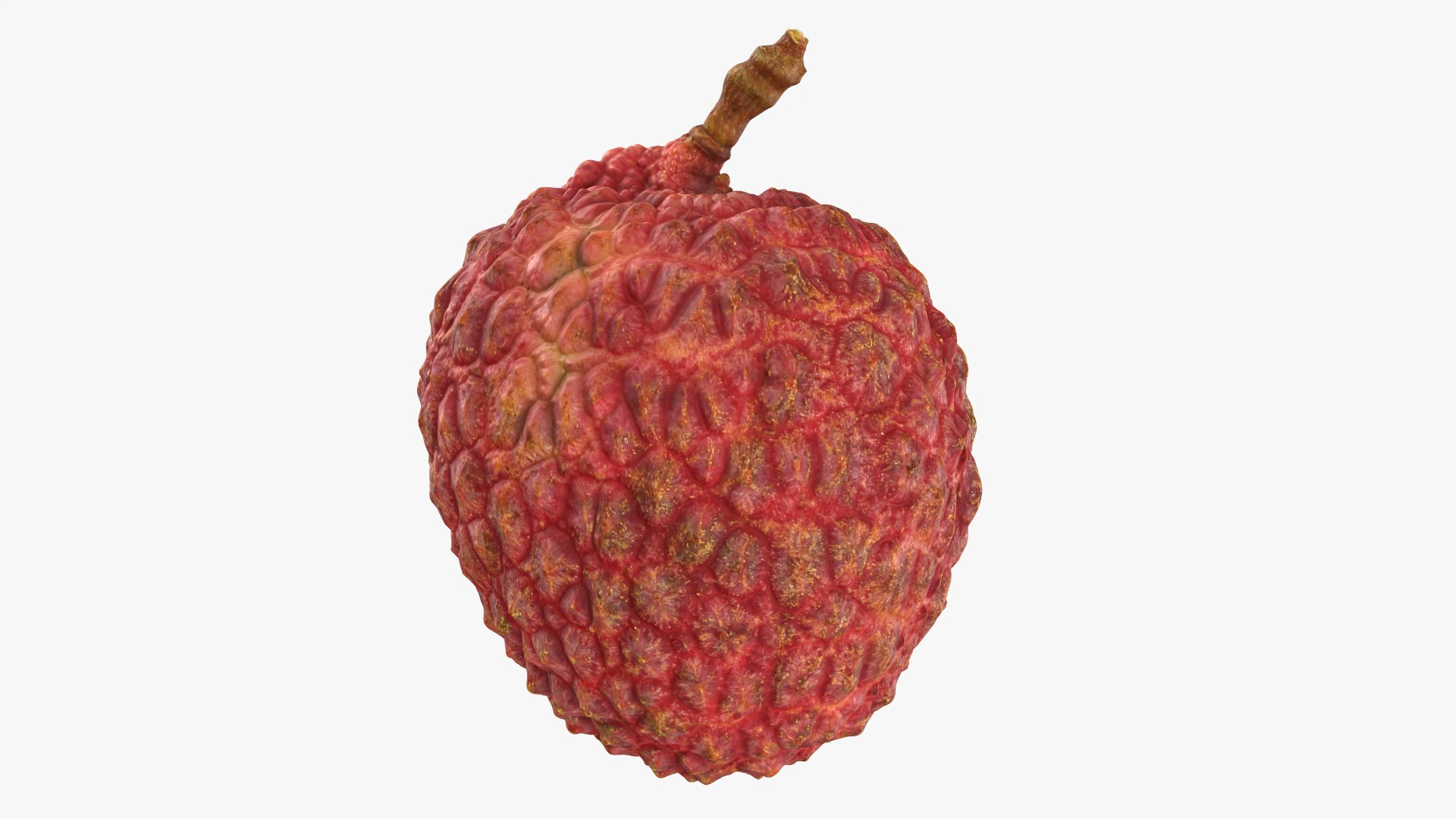 Lychee Collection 3D Model - TurboSquid 2478263
