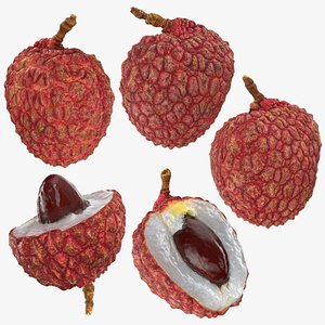 Lychee Collection 3D model