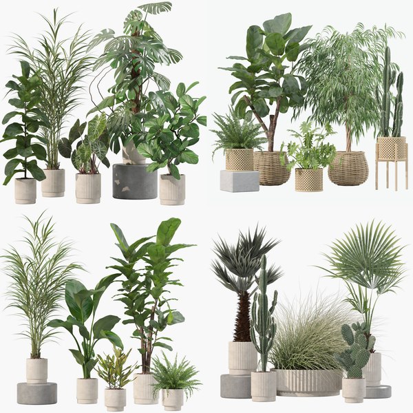 Animated Planter 3D Models for Download | TurboSquid