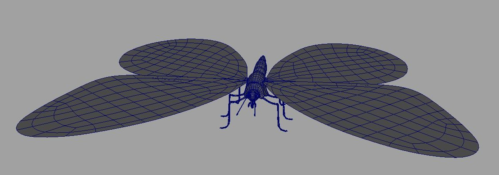 maya butter fly