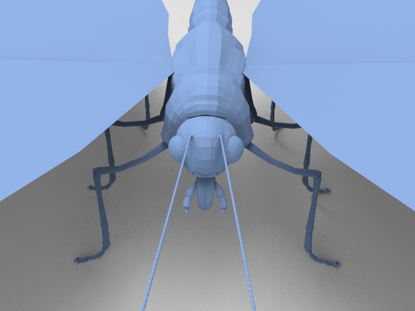 maya butter fly