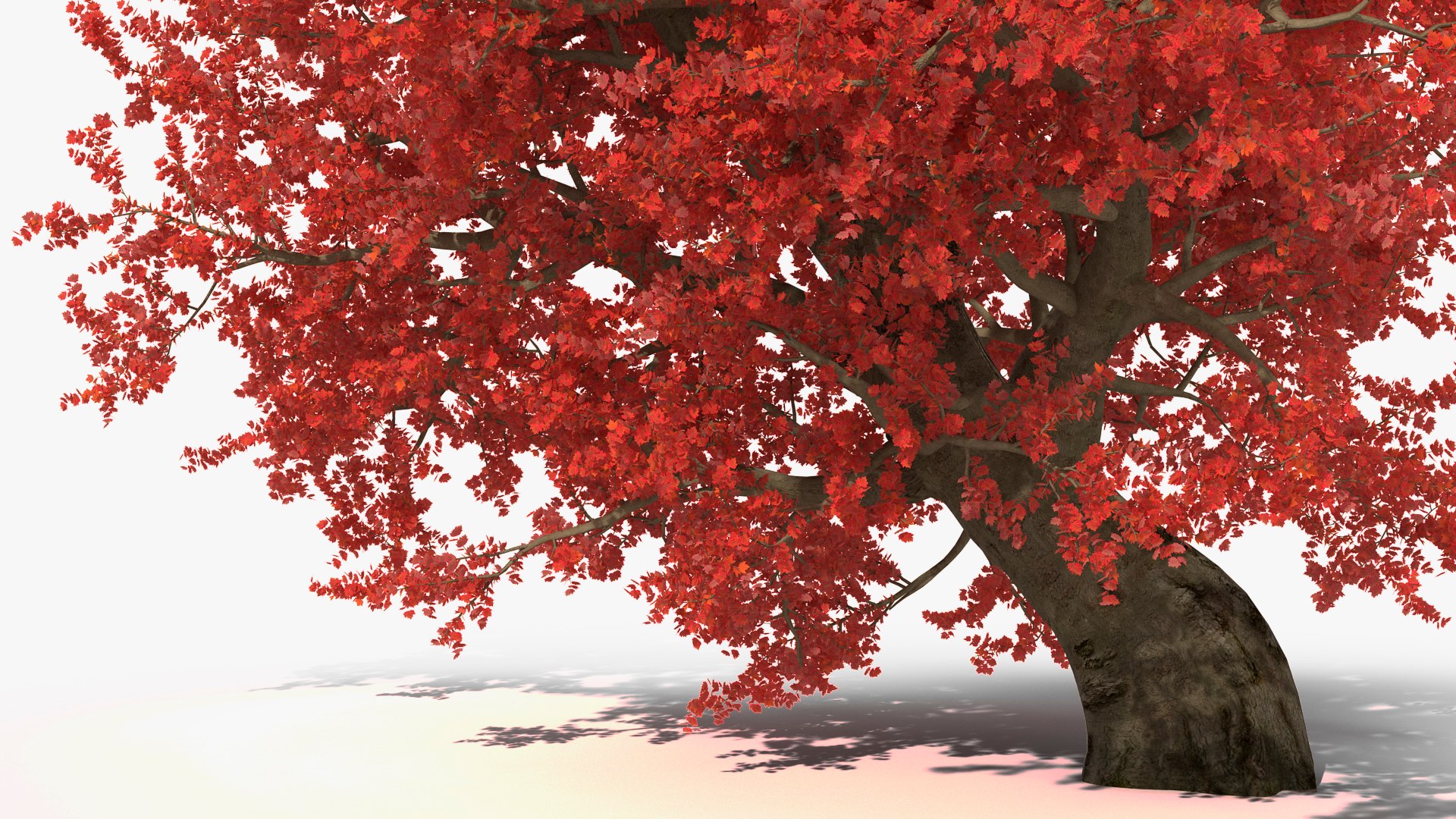 Realistic Autumn Red Maple Tree 3D Model - TurboSquid 2243150