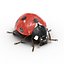 3d max ladybug set flying