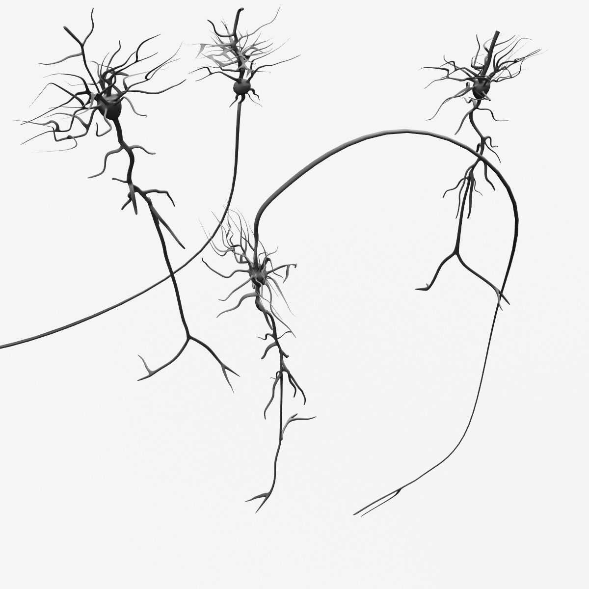 lwo neurons nerve cells