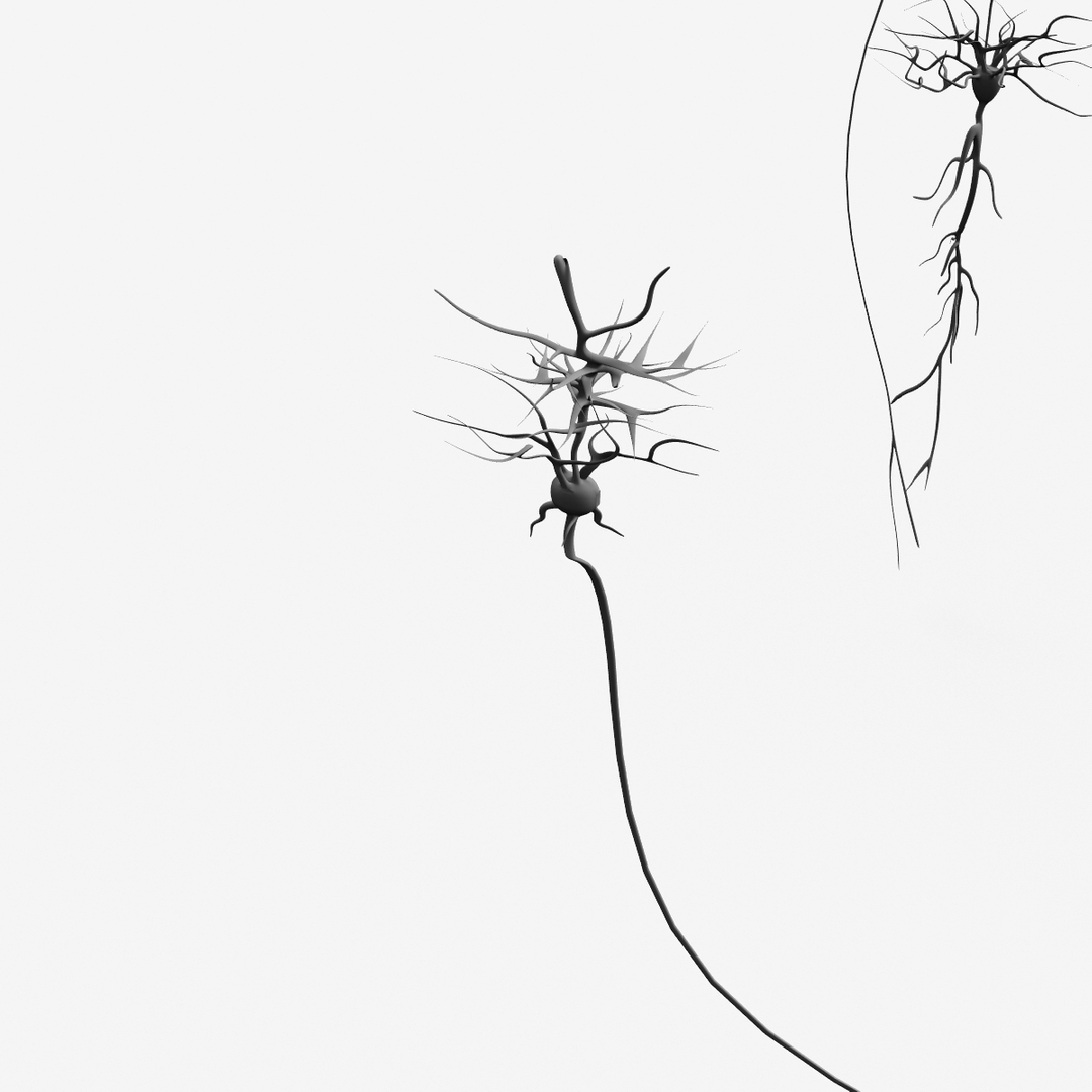 lwo neurons nerve cells