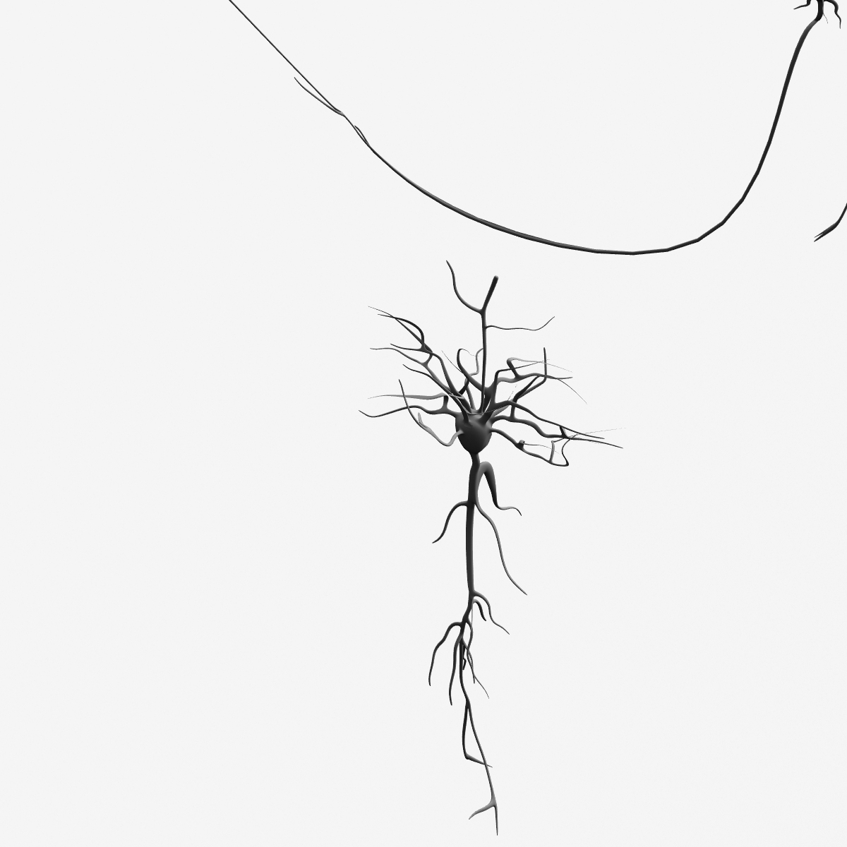 lwo neurons nerve cells