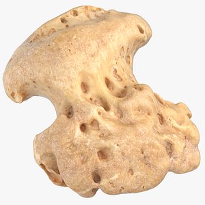 Real Distal Phalanx Bone of Little Toe 01