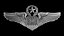 USAF Wings バッジセット 3D モデルパック