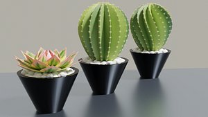 succulent pot 3D model