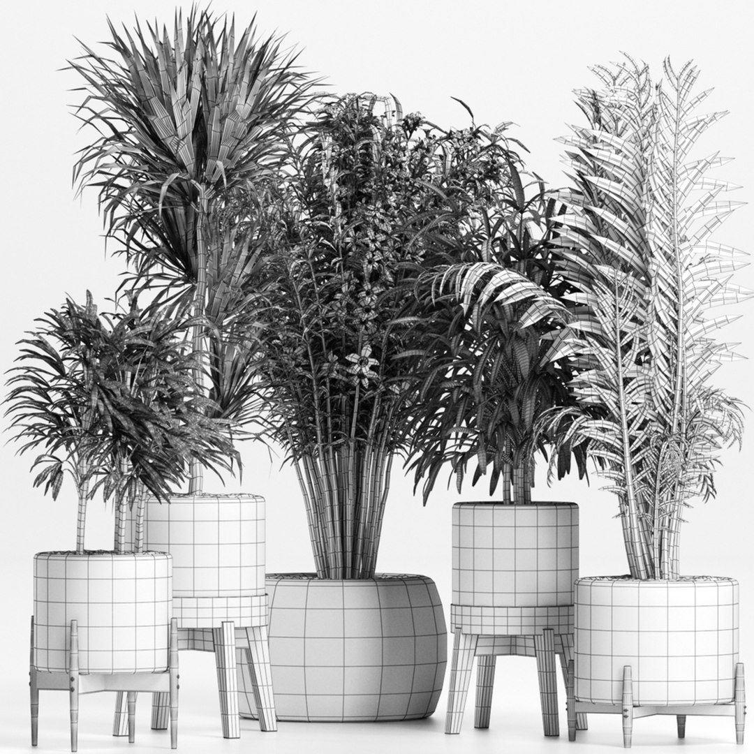 plants 3D model https://p.turbosquid.com/ts-thumb/9w/GmZTkI/Ds/7/jpg/1616206772/1920x1080/fit_q87/22b136ffeaf24e8068a147b8b17ad7c98bf41805/7.jpg