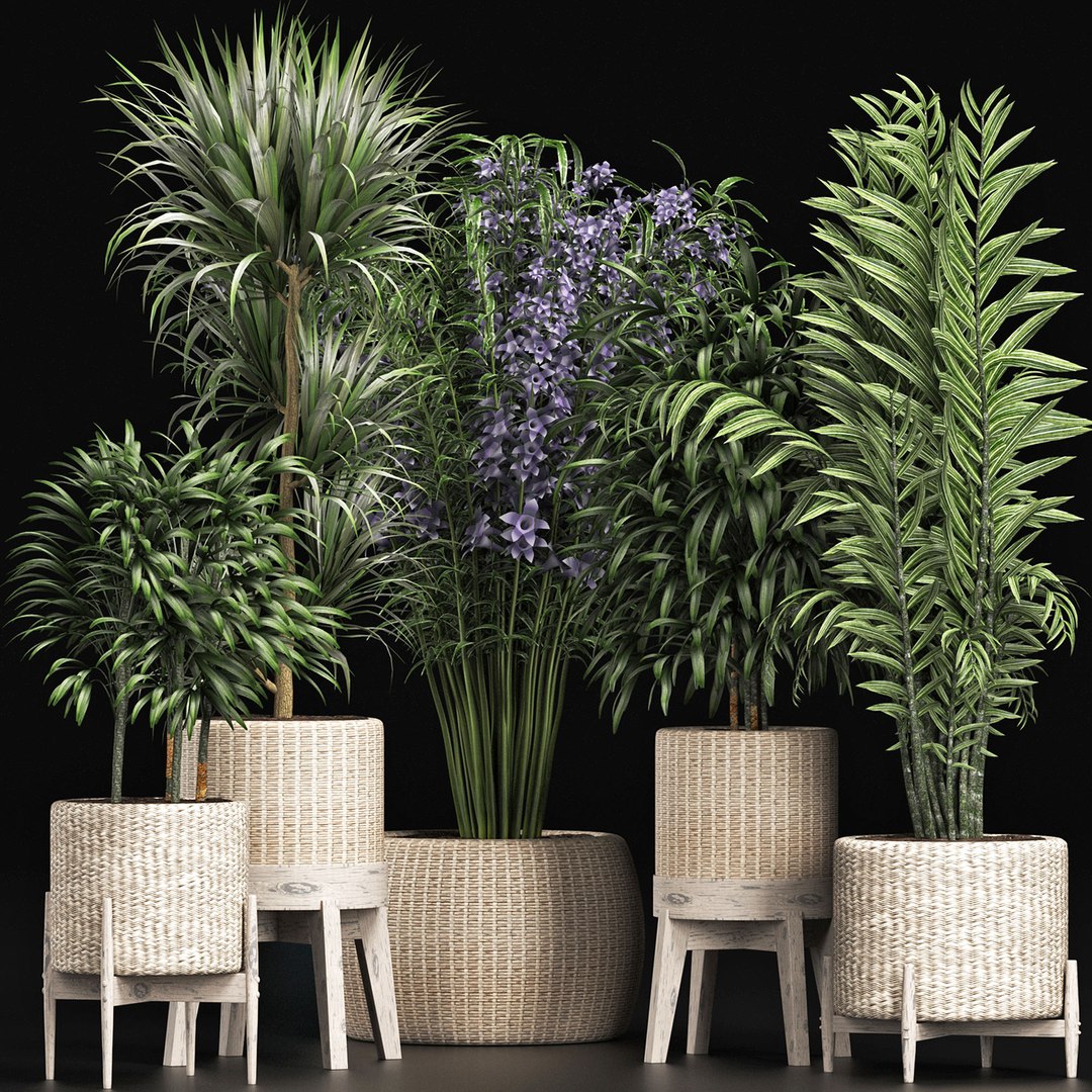 plants 3D model https://p.turbosquid.com/ts-thumb/9w/GmZTkI/Hk/2/jpg/1616206642/1920x1080/fit_q87/f95558a647aa9728b5000ad40fb965c2491ada3a/2.jpg