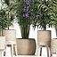 Plants Collection 213