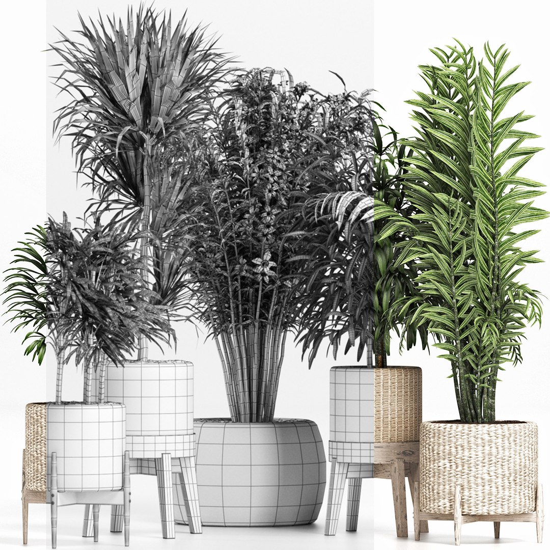 plants 3D model https://p.turbosquid.com/ts-thumb/9w/GmZTkI/j2/8/jpg/1616206733/1920x1080/fit_q87/f58ec7a3442682c79a1373022c0ac77f17413647/8.jpg