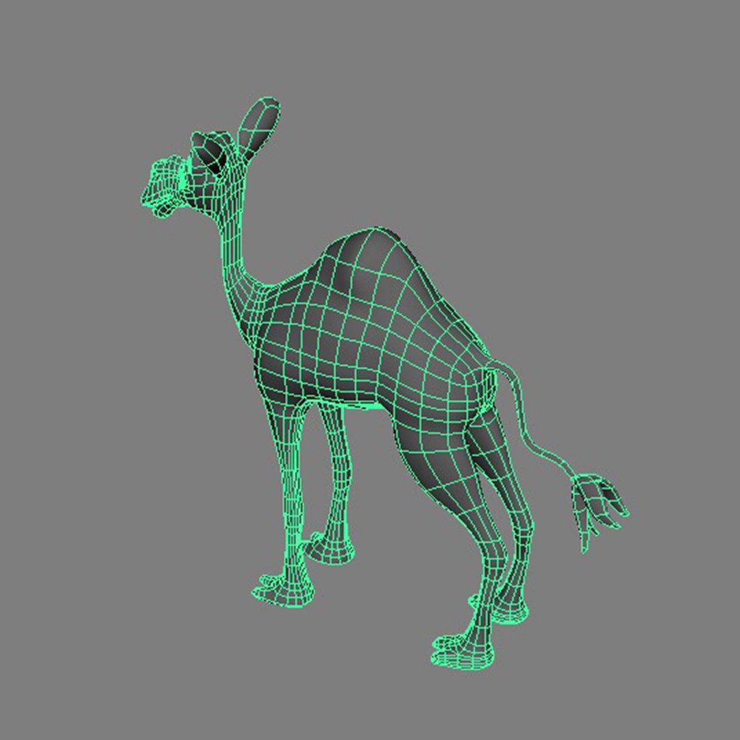 3D Camel model https://p.turbosquid.com/ts-thumb/9w/Lkx0VR/9V/wireframe2/jpg/1629296750/1920x1080/fit_q87/6bb79452a968e6fa4b75c0fbf74dace632933d5b/wireframe2.jpg