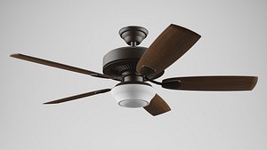 fan 3D