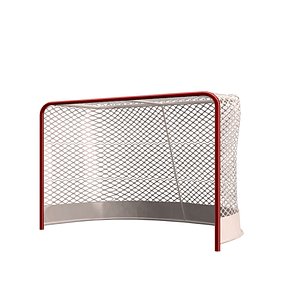 goal net frame model