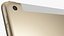 Apple iPad 8 10.2 2020 WiFi 和 Cellular Gold