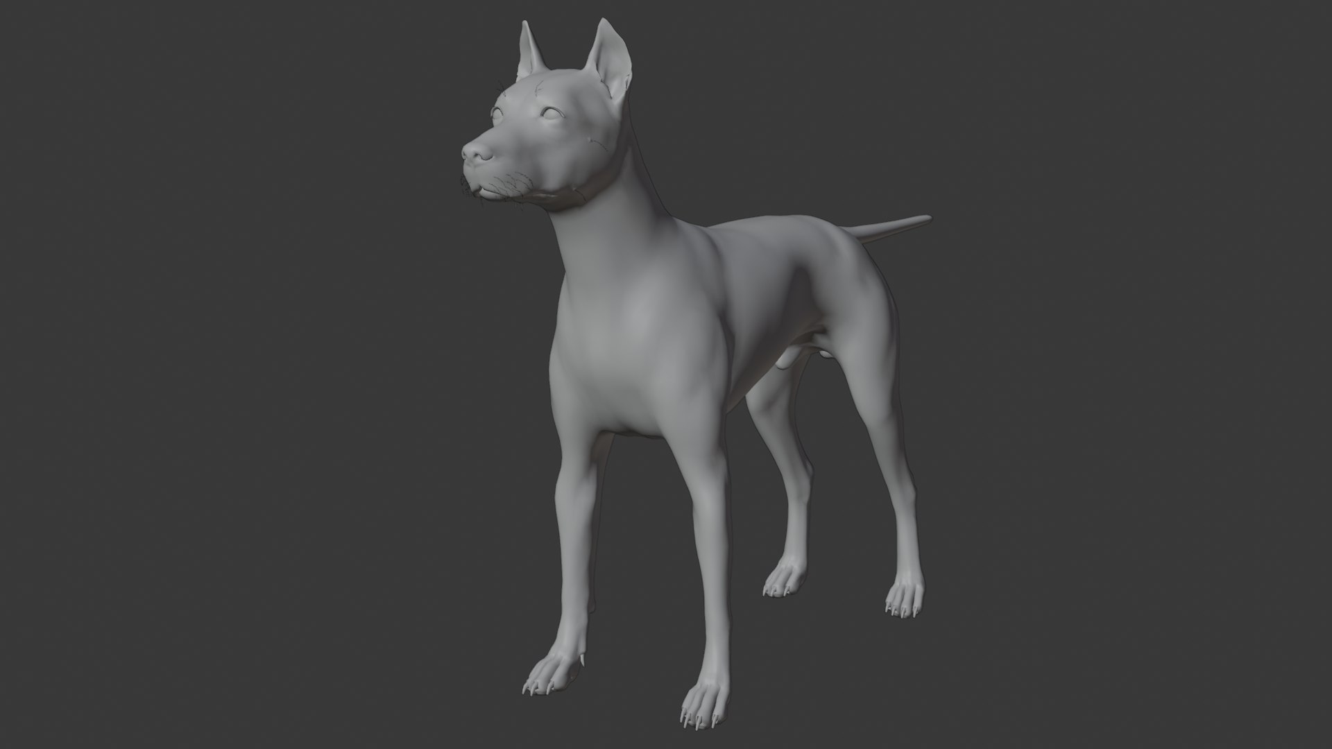3D Doberman dog https://p.turbosquid.com/ts-thumb/9w/bBzAV2/8s/dogdober16/png/1744926701/1920x1080/fit_q87/2f0be725e7de3b167ffc53907656a07f9a813824/dogdober16.jpg