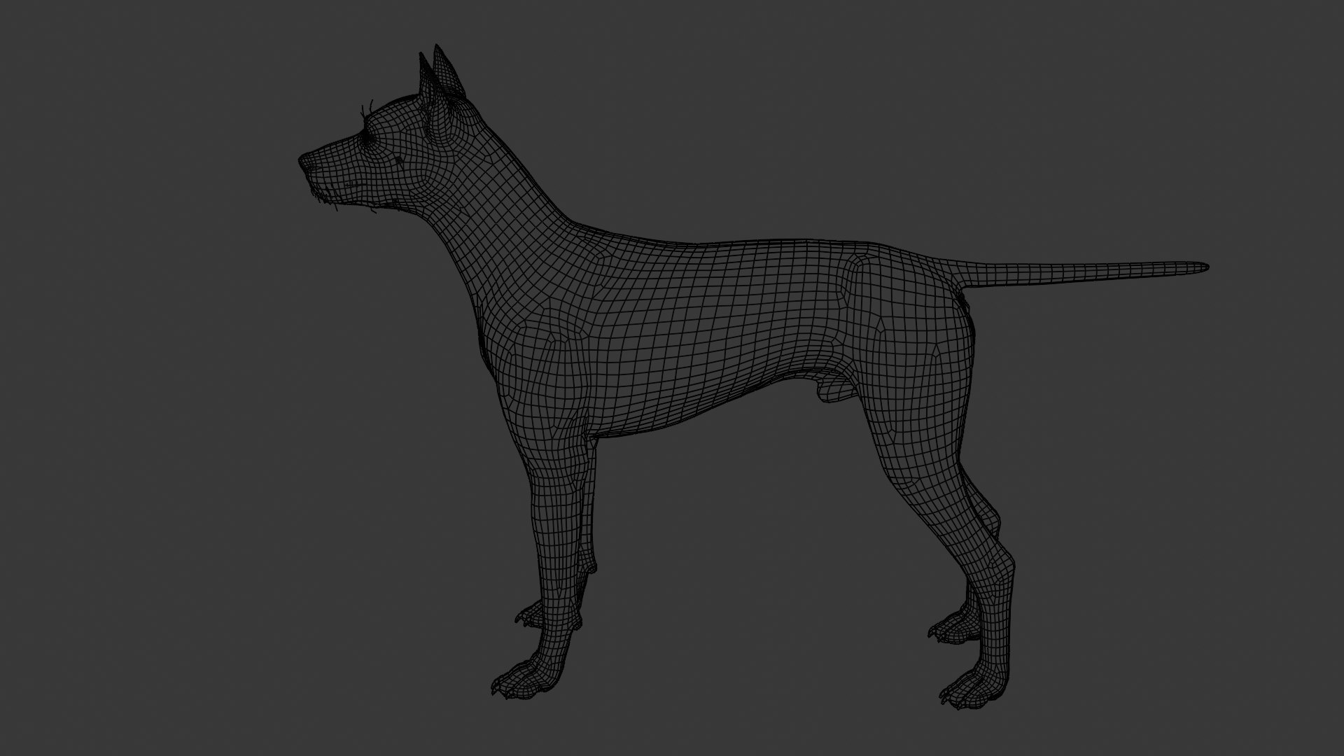 3D Doberman dog https://p.turbosquid.com/ts-thumb/9w/bBzAV2/KX/dogdober32/png/1744926709/1920x1080/fit_q87/2cd7183135856bafb963b82f7540197ce81e9dde/dogdober32.jpg