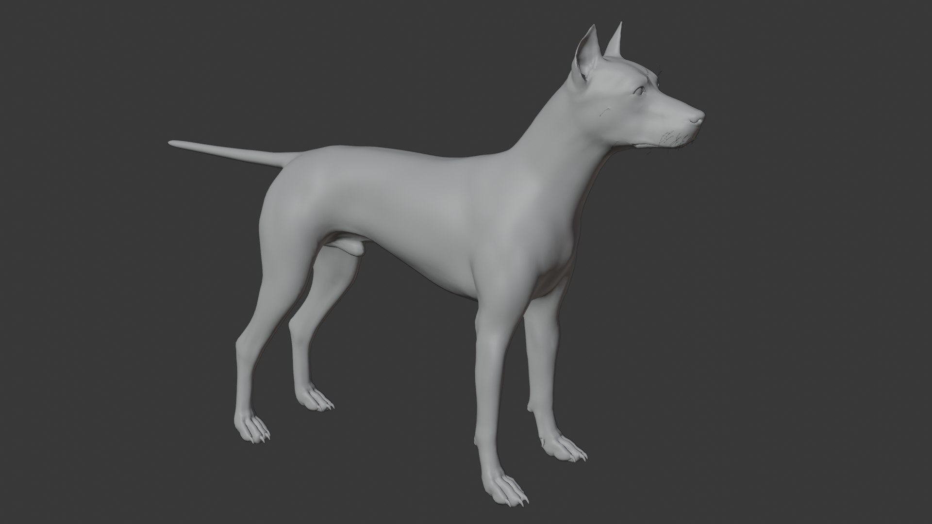 3D Doberman dog https://p.turbosquid.com/ts-thumb/9w/bBzAV2/TB/dogdober18/png/1744926702/1920x1080/fit_q87/32cdeeb8b63c92002210ba1c340400d8c1f4d2a9/dogdober18.jpg