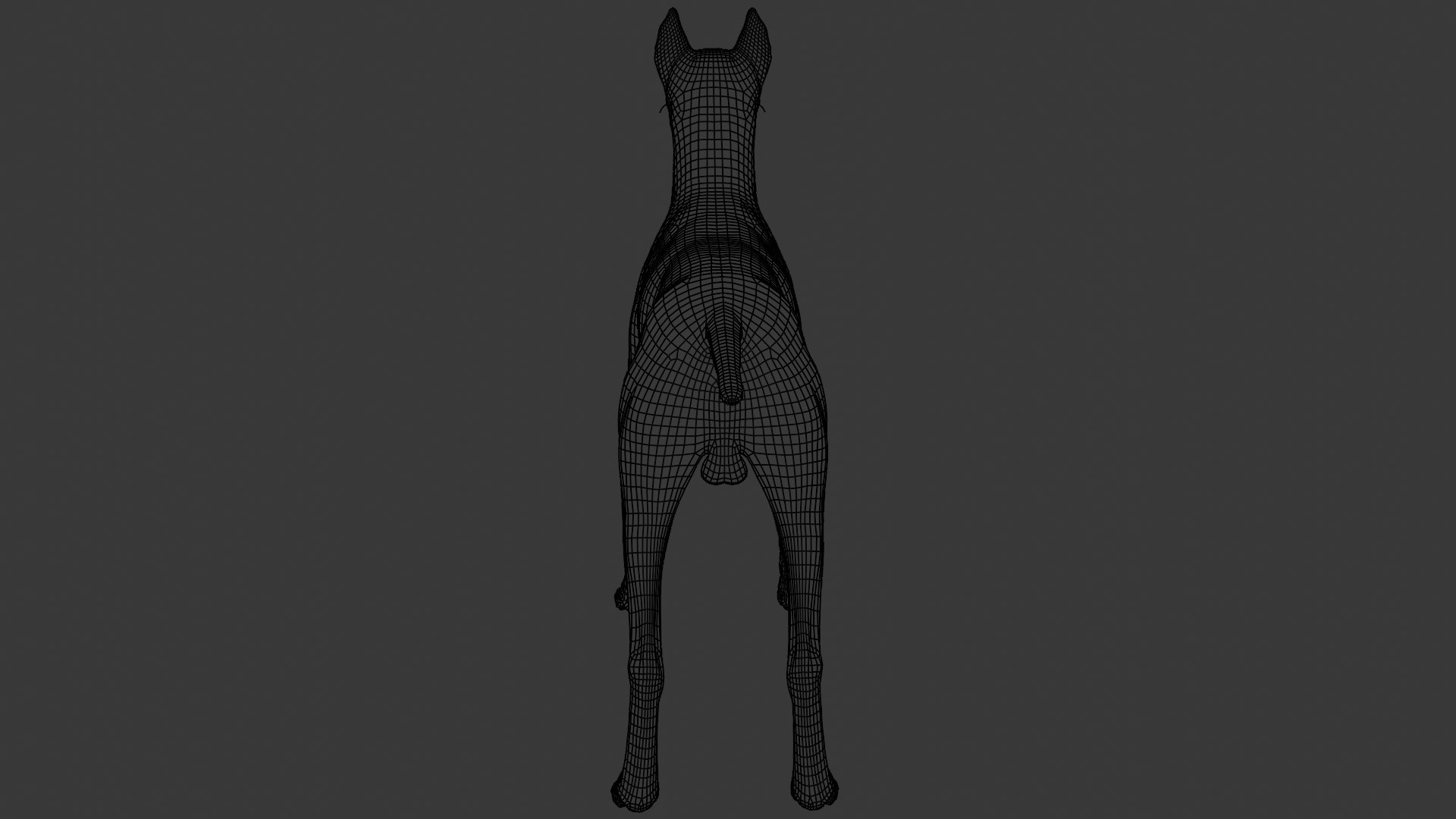 3D Doberman dog https://p.turbosquid.com/ts-thumb/9w/bBzAV2/bt/dogdober30/png/1744926708/1920x1080/fit_q87/2f6e86dc7fef73190e2e06a14edf81dc5f1ce2a1/dogdober30.jpg