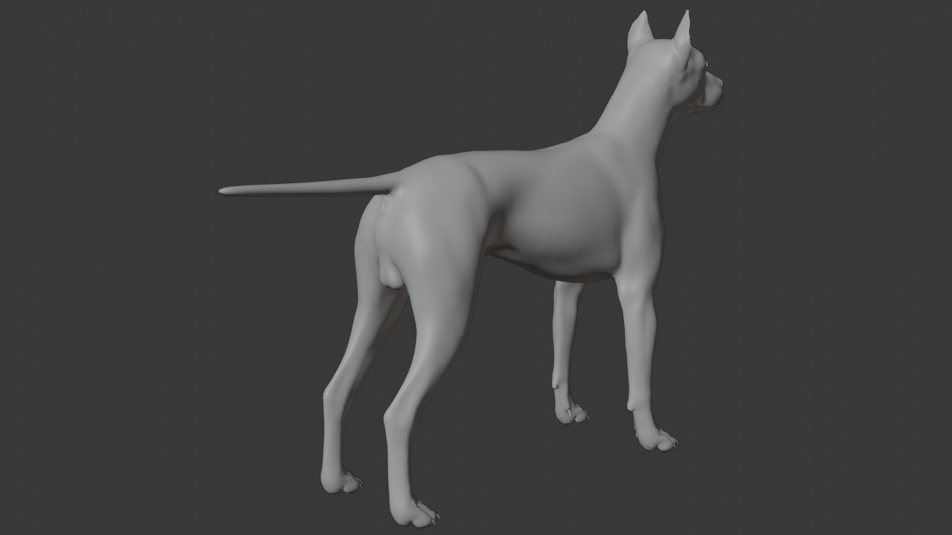 3D Doberman dog https://p.turbosquid.com/ts-thumb/9w/bBzAV2/ef/dogdober20/png/1744926704/1920x1080/fit_q87/d0d9ce3c7aa7312fbc72677b0b7ed538c6852ca9/dogdober20.jpg