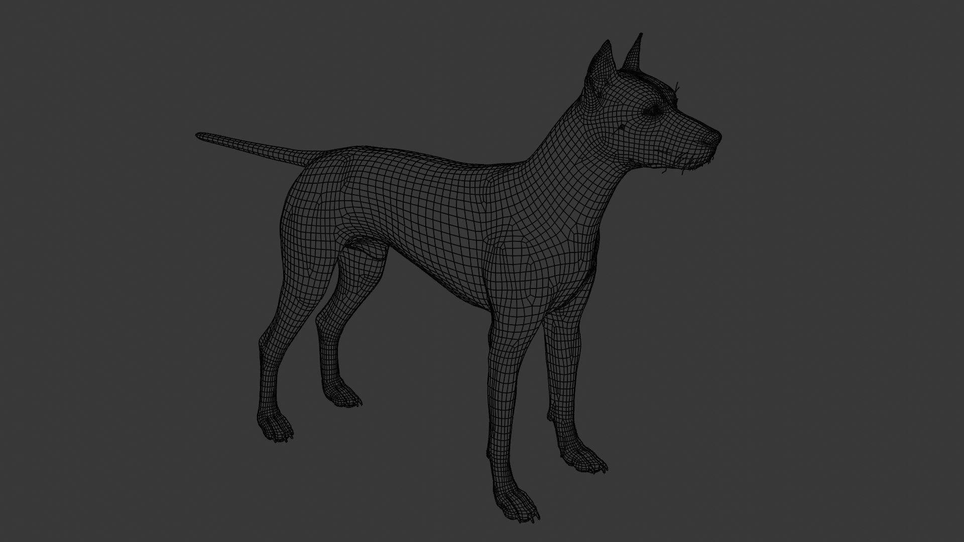 3D Doberman dog https://p.turbosquid.com/ts-thumb/9w/bBzAV2/gc/dogdober27/png/1744926707/1920x1080/fit_q87/b12323d9f941bb2bc39d1702bda1f2d6f6b64fa3/dogdober27.jpg