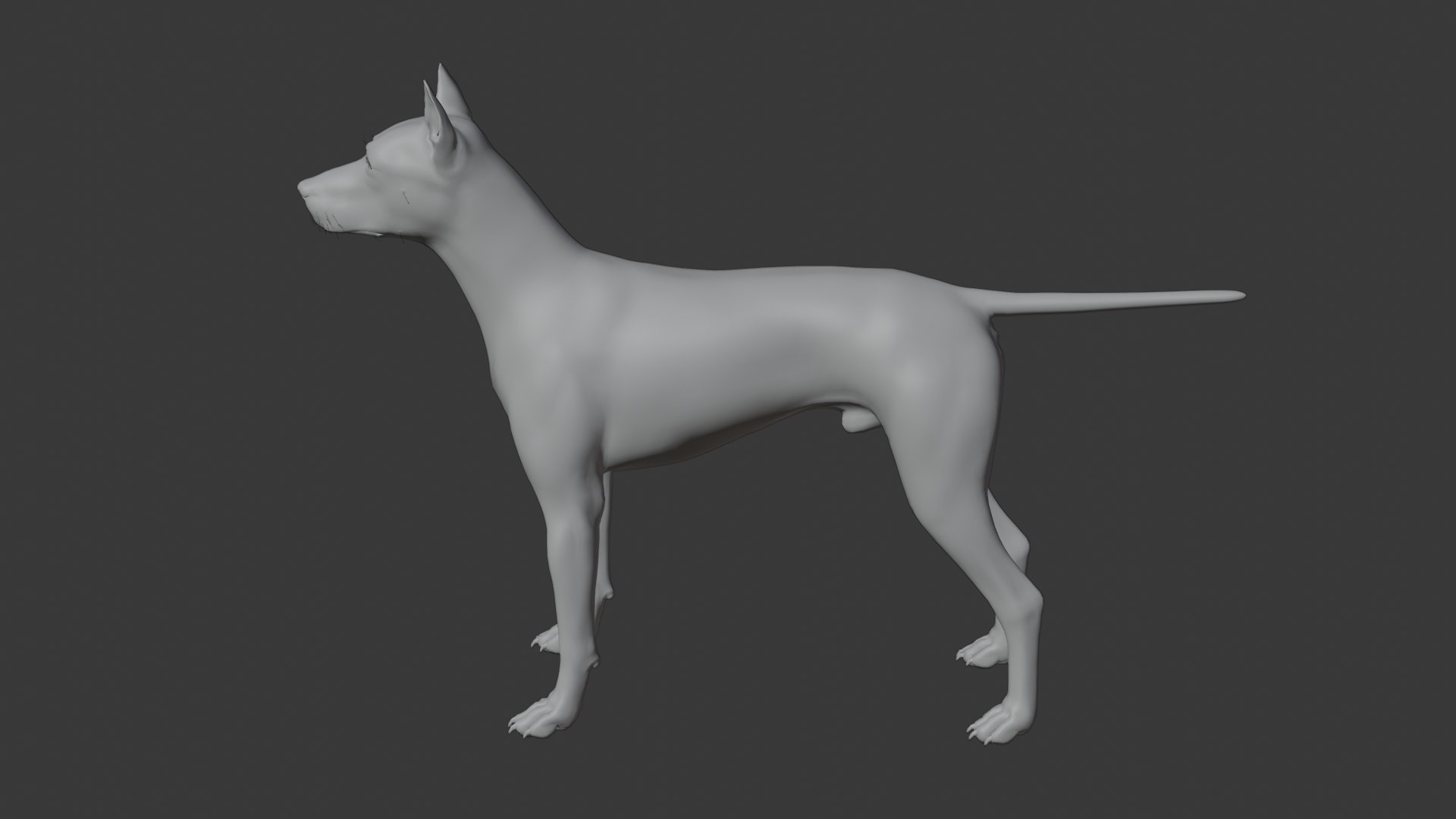 3D Doberman dog https://p.turbosquid.com/ts-thumb/9w/bBzAV2/lz/dogdober24/png/1744926705/1920x1080/fit_q87/2ffc37df3d5acb180846fca11610bbdb45b8a542/dogdober24.jpg