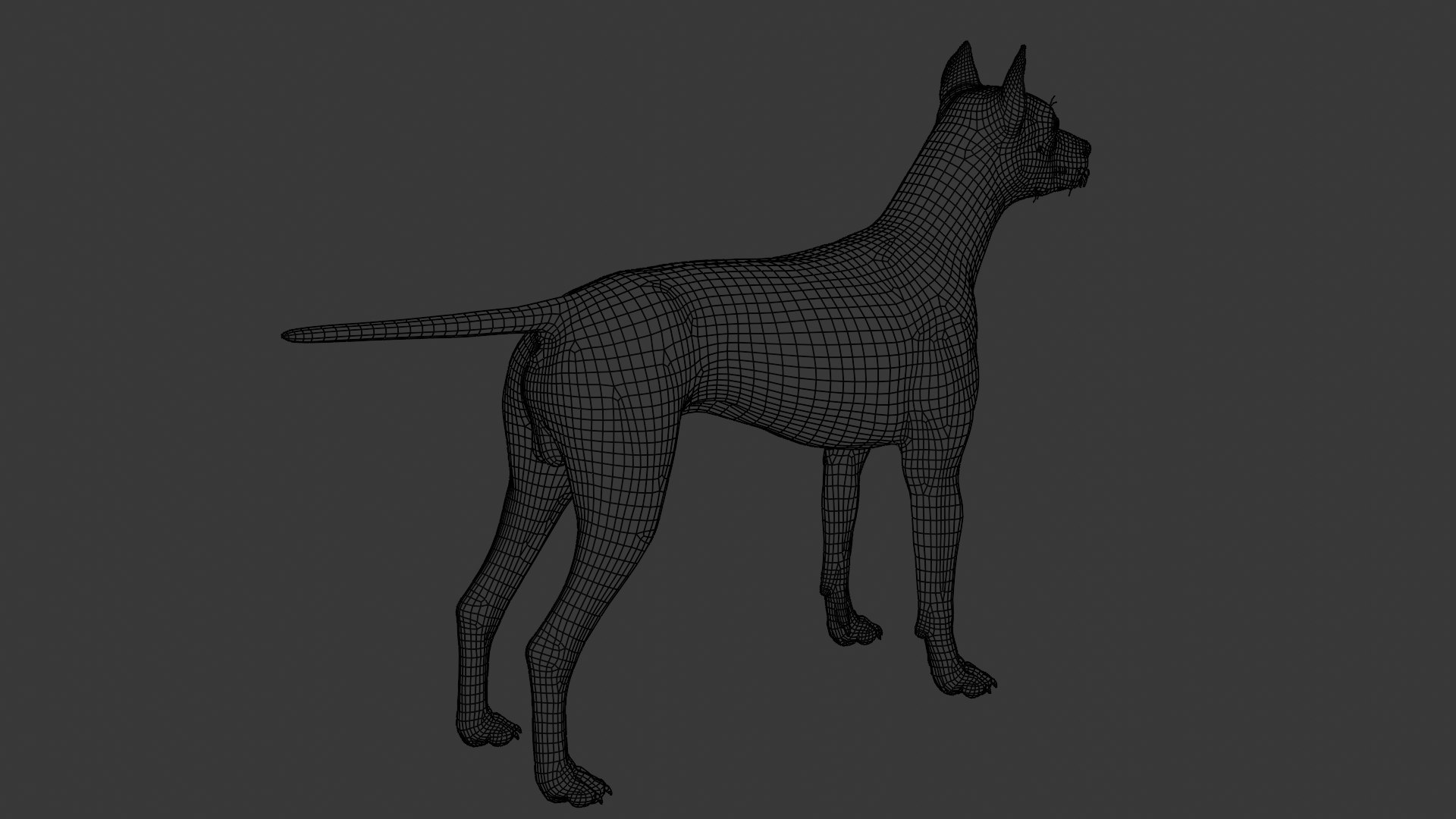 3D Doberman dog https://p.turbosquid.com/ts-thumb/9w/bBzAV2/rC/dogdober29/png/1744926708/1920x1080/fit_q87/a686886cac00066da7effd01f9e0ca6eaed1ea82/dogdober29.jpg