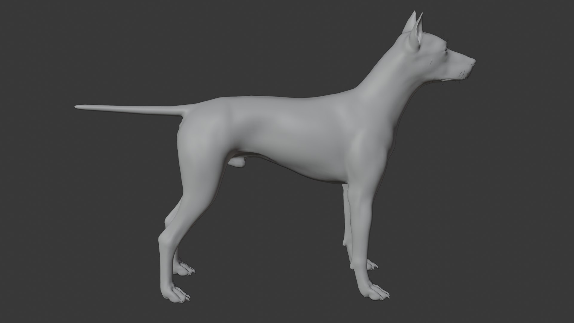 3D Doberman dog https://p.turbosquid.com/ts-thumb/9w/bBzAV2/tW/dogdober19/png/1744926703/1920x1080/fit_q87/a9500e91a2c83ce382272a4c12b5c13ea1168580/dogdober19.jpg
