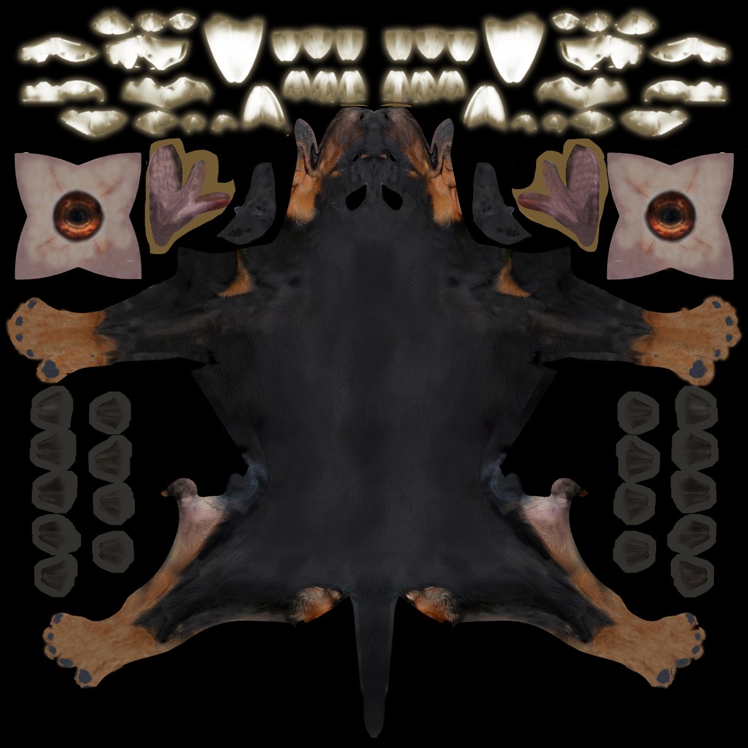 3D Doberman dog https://p.turbosquid.com/ts-thumb/9w/bBzAV2/td/dadog8rottweilercoatdif4k/png/1744926698/1920x1080/fit_q87/505bc9fcbf05f808234024a24944357db420ce0b/dadog8rottweilercoatdif4k.jpg