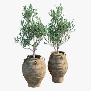 Bala Urn 3D model