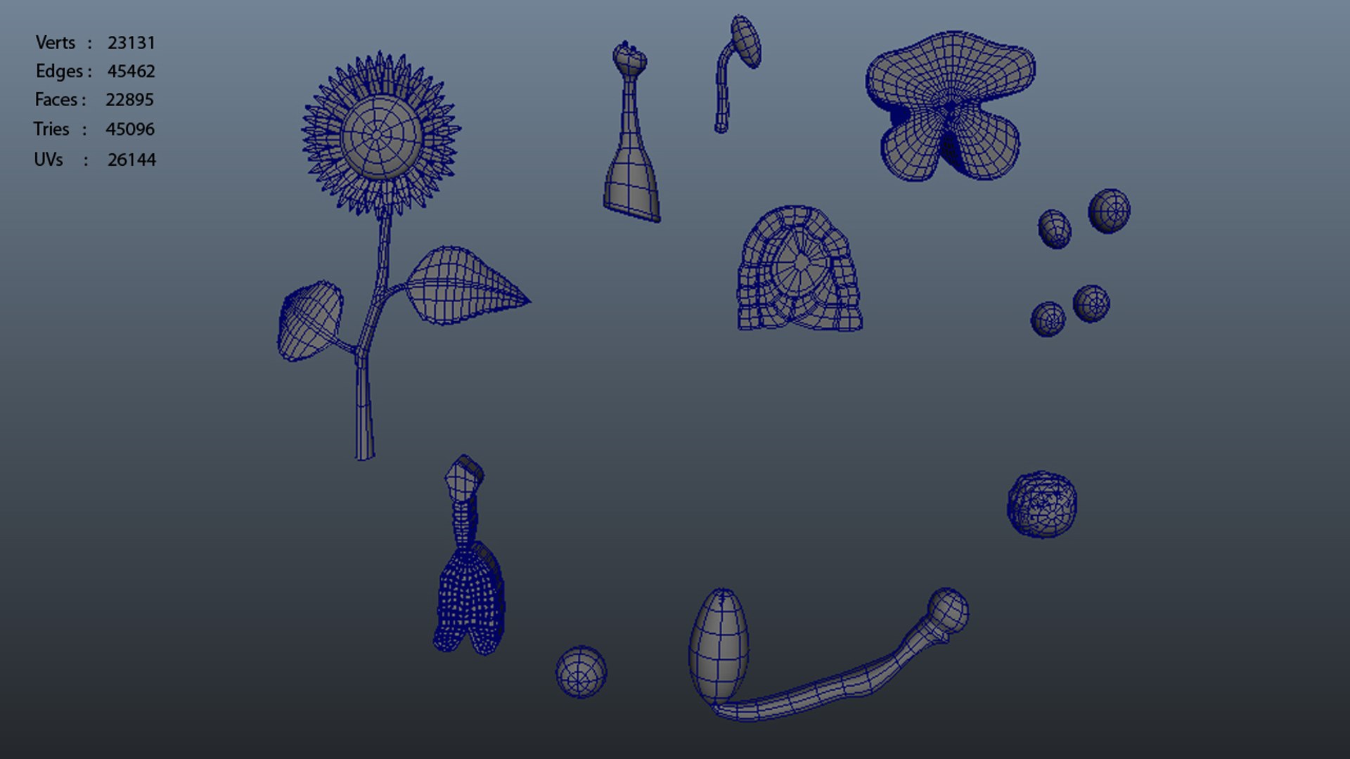 Life Cycle Angiosperm Plants Flowers 3d Obj