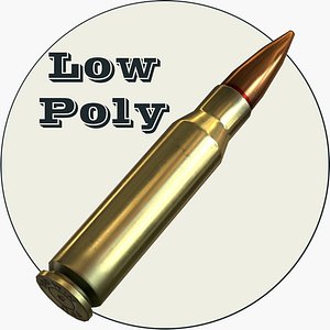 308 Bullet